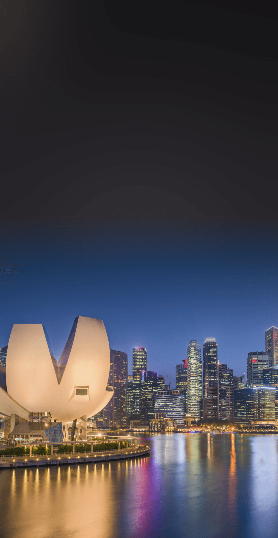 SGX Stock Trading with Webull Singapore